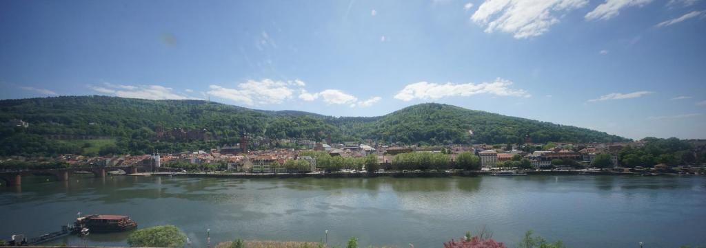 Webcam Heidelberg